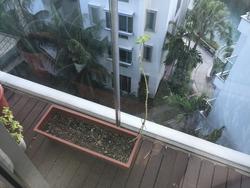 Caribbean At Keppel Bay (D4), Condominium #138540182